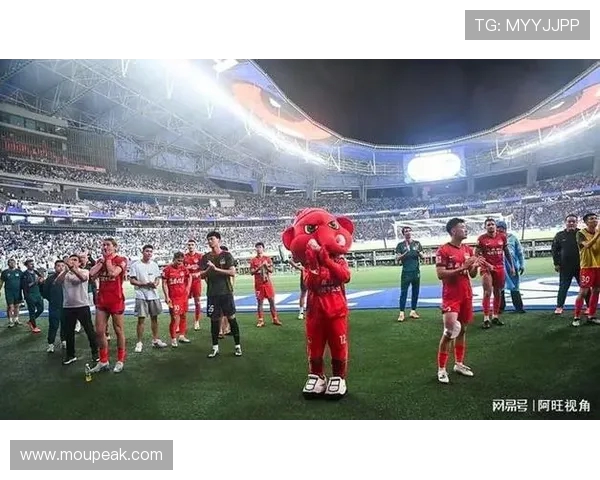 河南队通报成都球迷严重违规 恶意涂鸦亵渎足球精神(2)